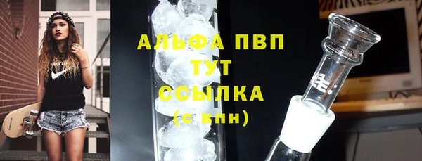 гидропоника Алзамай