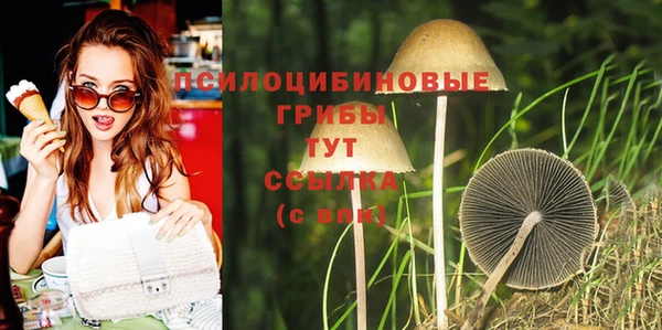 ALPHA PVP Алексин