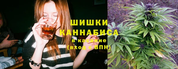 гидропоника Алзамай