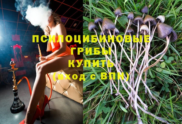 ALPHA PVP Алексин